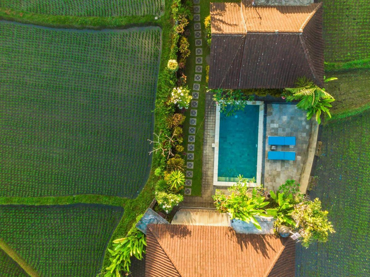 Ubud Glassy Villa By Pramana Villas Exterior photo